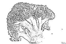 brocoli Coloriages À Imprimer